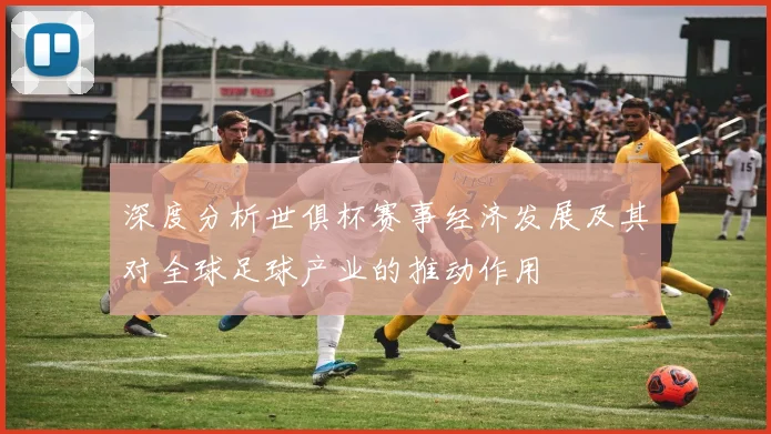 深度分析世俱杯赛事经济发展及其对全球足球产业的推动作用
