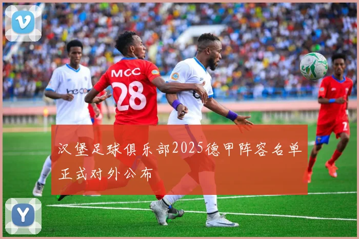 汉堡足球俱乐部2025德甲阵容名单正式对外公布